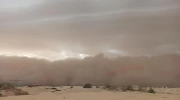 تحذيرات طبية.. 5 فئات تواجه مخاطر صحية عند الخروج أثناء العواصف الترابية